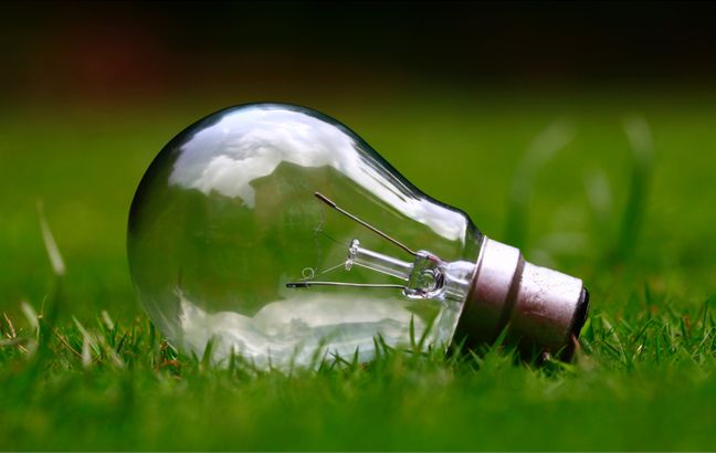 Optimization of the Value Chain of the Existing Free Potentials of Wood Resources for Power Generation in Baden-Württemberg