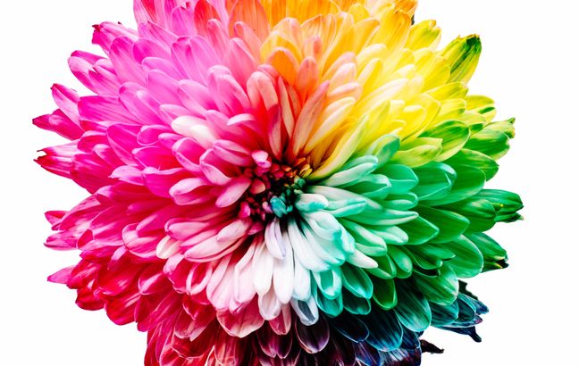 Der schmale Grat zwischen Inklusion und Stigmatisierung von gesundheitlich beeinträchtigten Menschen bei ihrer beruflichen Teilhabe